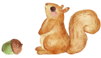 eekhoorn