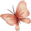 vlinder-roze