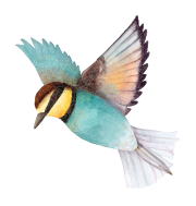 vogeltje